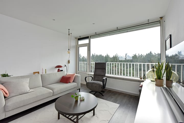 Foto 6 van Anna Paulownalaan 147