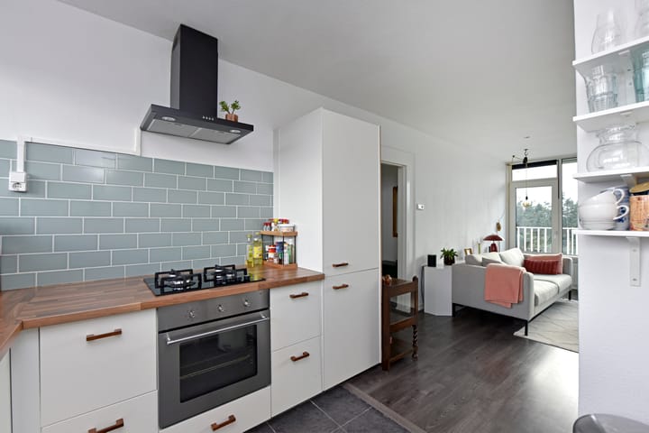 Foto 12 van Anna Paulownalaan 147