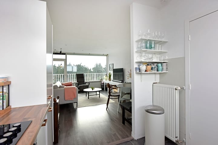 Foto 13 van Anna Paulownalaan 147