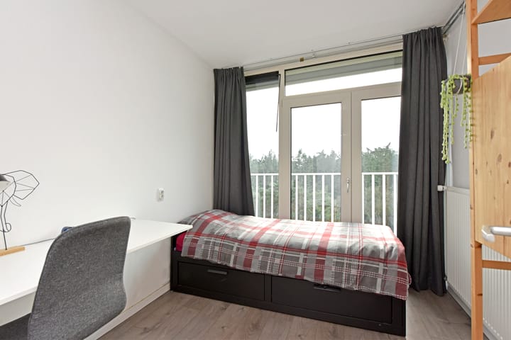 Foto 17 van Anna Paulownalaan 147