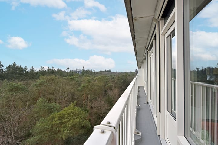 Foto 21 van Anna Paulownalaan 147