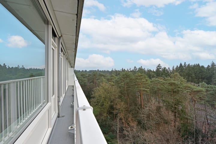 Foto 22 van Anna Paulownalaan 147