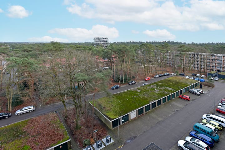 Foto 24 van Anna Paulownalaan 147