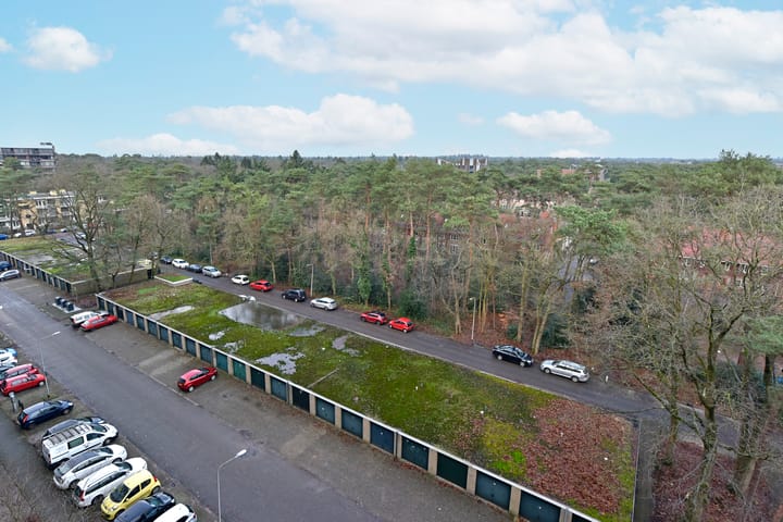 Foto 25 van Anna Paulownalaan 147