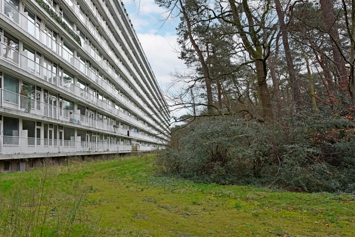 Foto 27 van Anna Paulownalaan 147