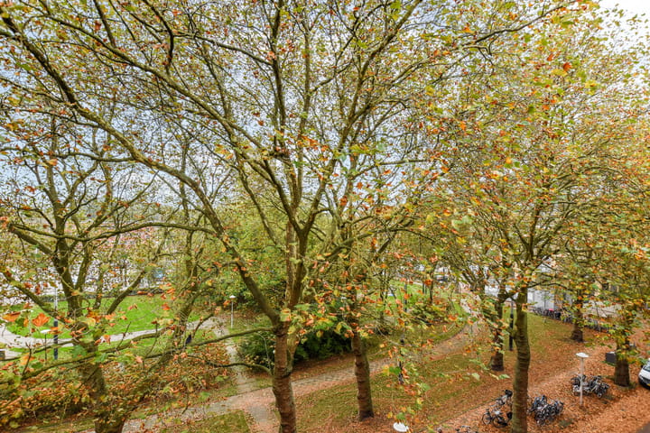 Foto 10 van Surinameplein 66-4