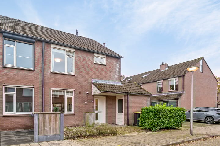 Foto 8 van Engelwortel 38