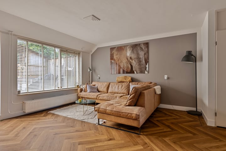 Foto 11 van Engelwortel 38