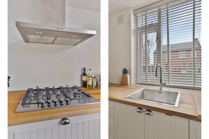 Foto 16 van Engelwortel 38