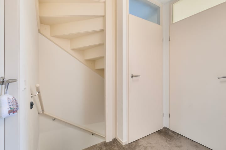 Foto 17 van Engelwortel 38