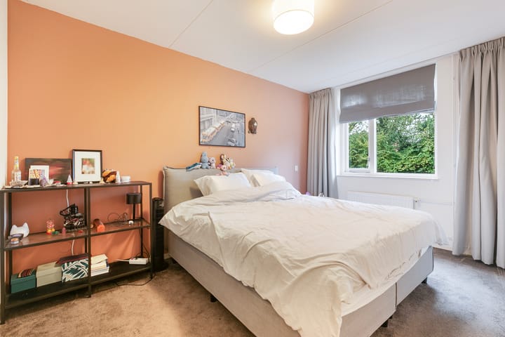 Foto 18 van Engelwortel 38