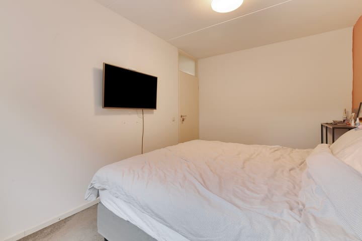 Foto 19 van Engelwortel 38