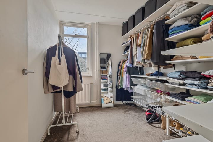 Foto 24 van Engelwortel 38