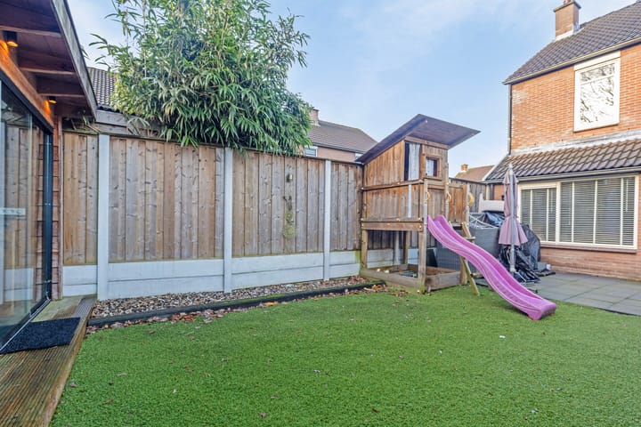 Foto 29 van Engelwortel 38