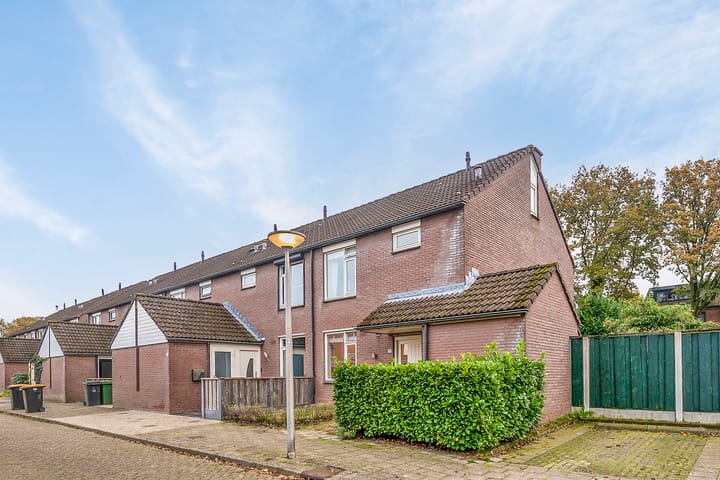 Foto 30 van Engelwortel 38