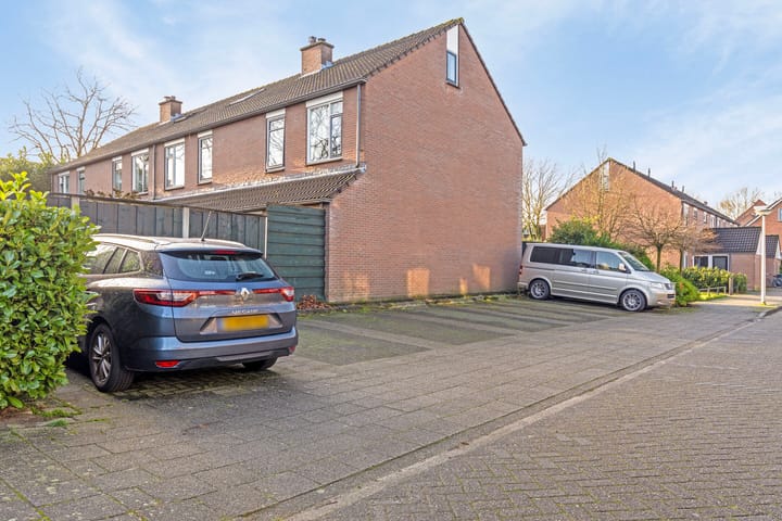 Foto 31 van Engelwortel 38