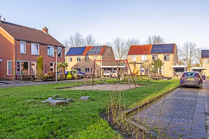 Foto 32 van Engelwortel 38