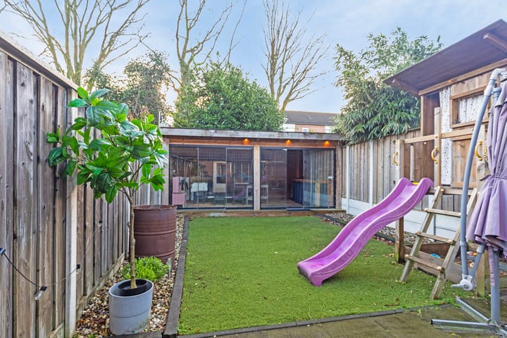 Foto 25 van Engelwortel 38