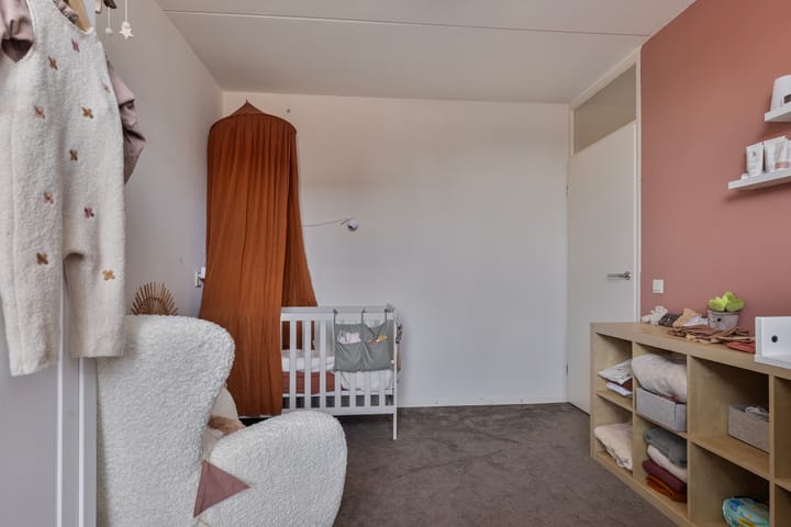 Foto 23 van Engelwortel 38