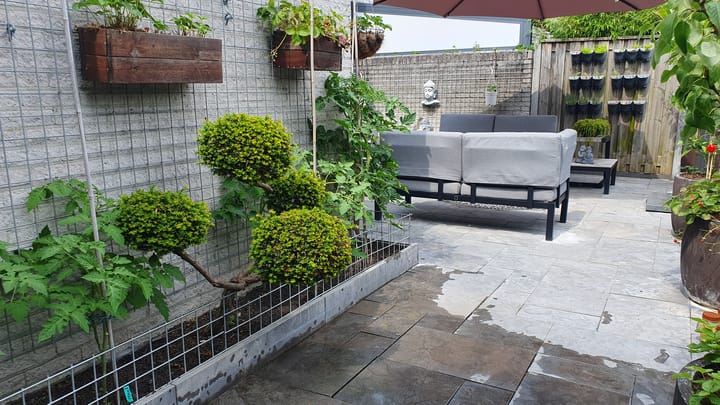 Foto 38 van De Amazone 2