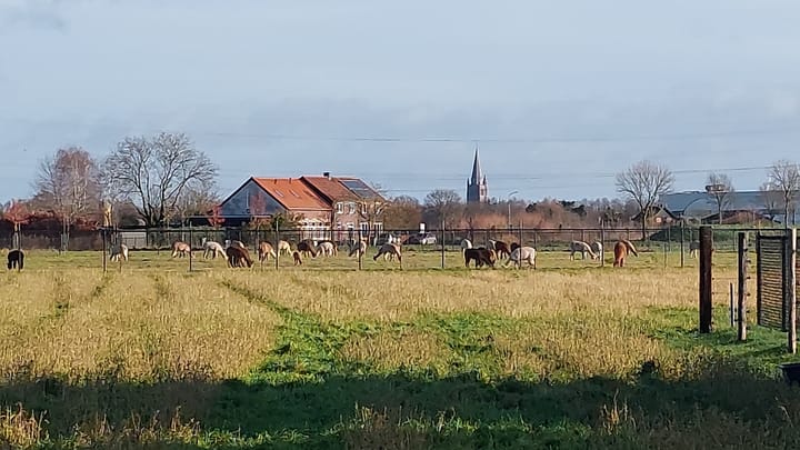 Foto 35 van Neelenweg 13