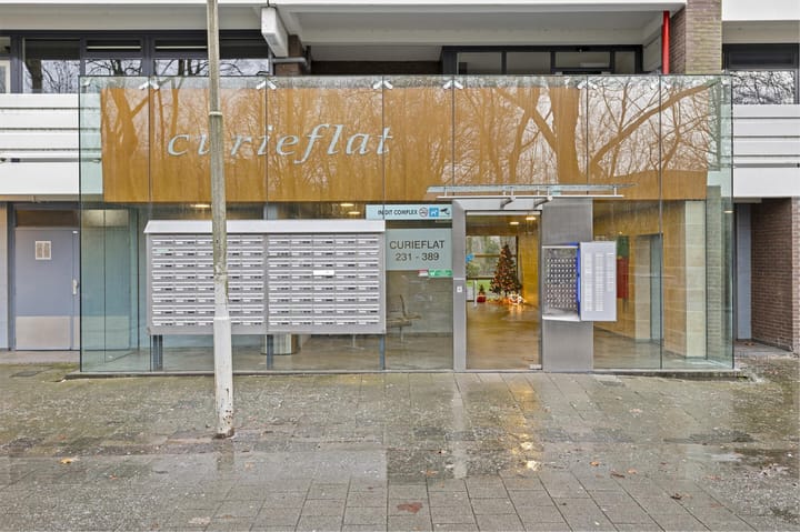 Foto 8 van Curieplaats 259