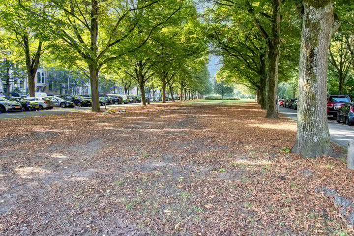 Foto 36 van Gedempte Zalmhaven 370