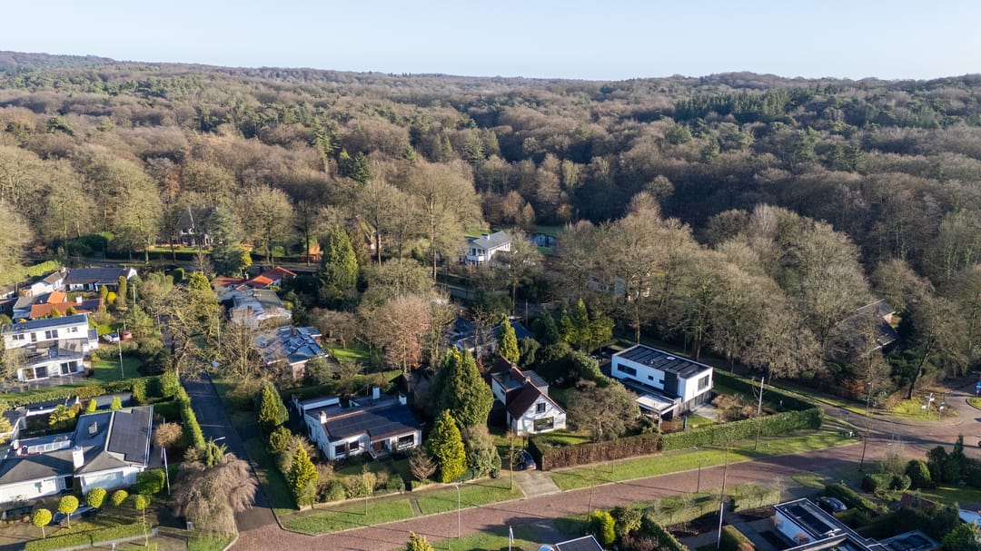 Foto 2 van den Bruijl 10