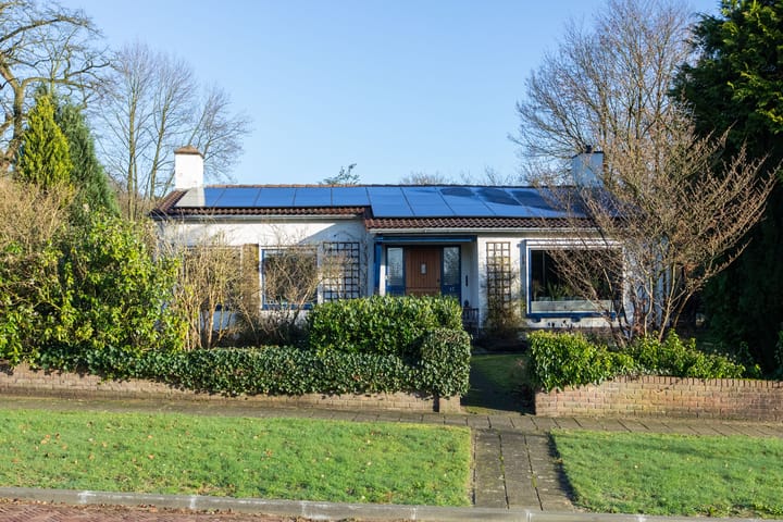 Foto 7 van den Bruijl 10