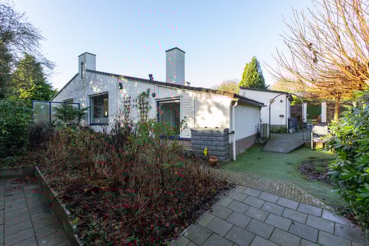 Foto 33 van den Bruijl 10