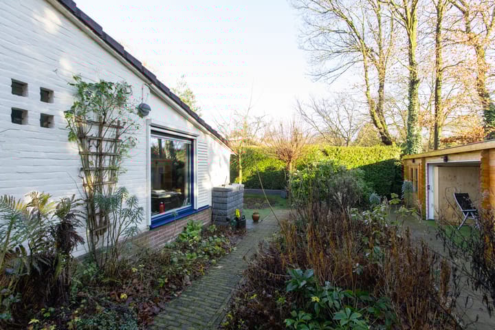 Foto 36 van den Bruijl 10