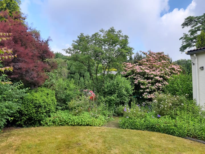 Foto 37 van den Bruijl 10