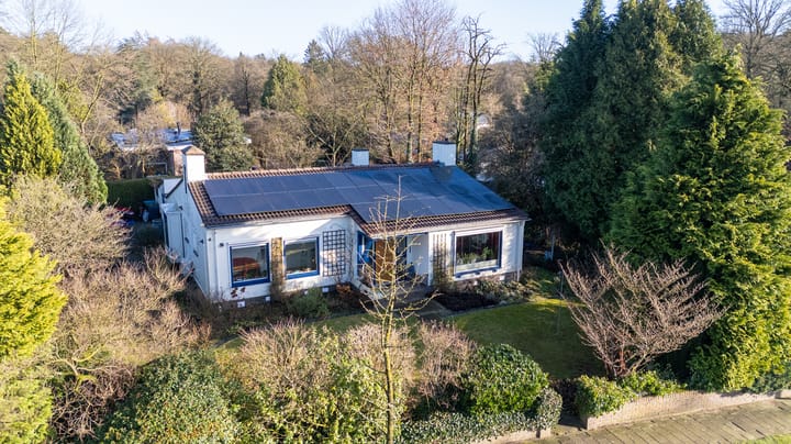 Foto 39 van den Bruijl 10