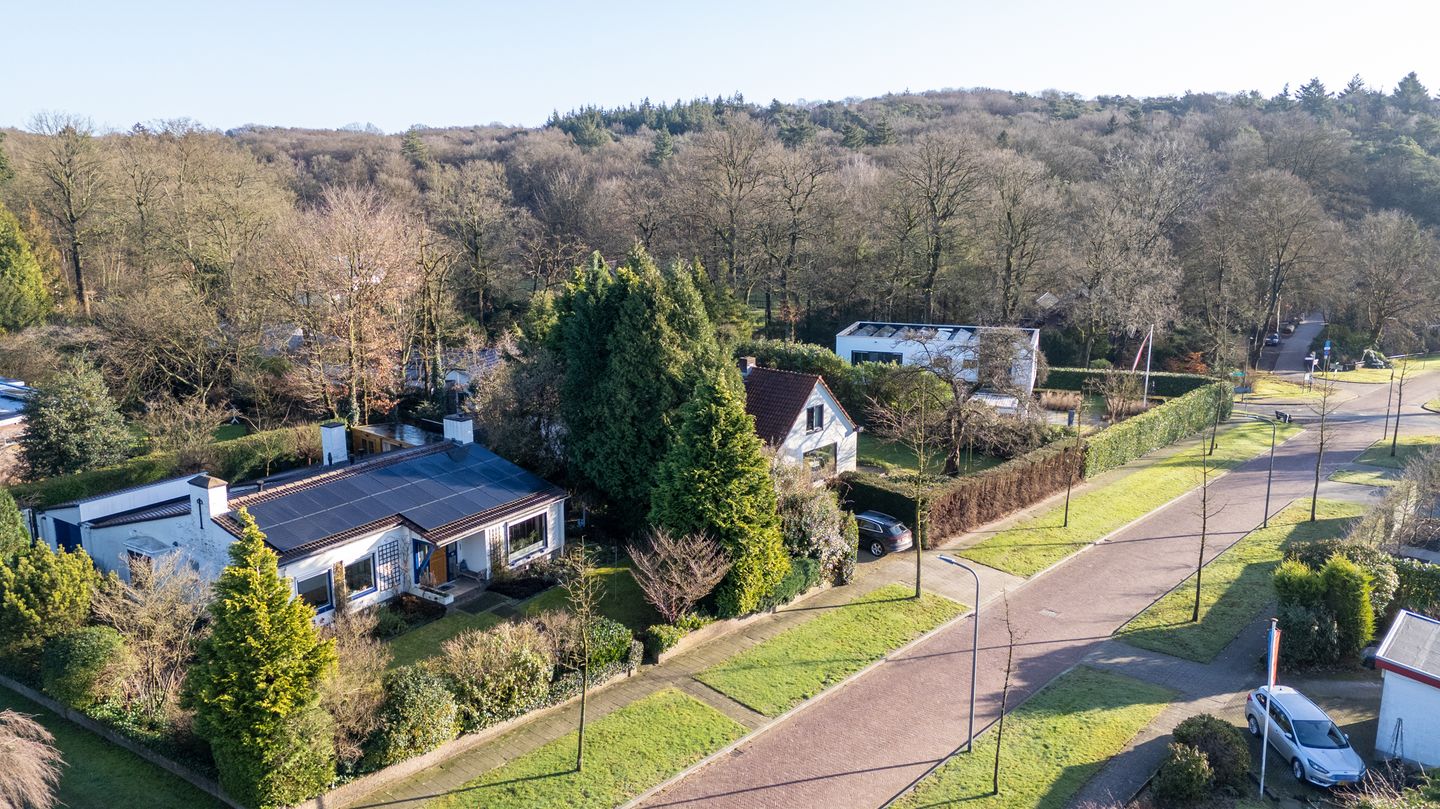 Foto 40 van den Bruijl 10