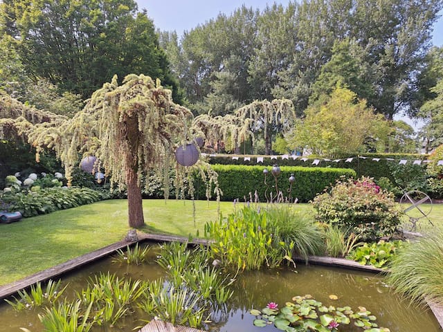 Foto 83 van Bonserdyk 16