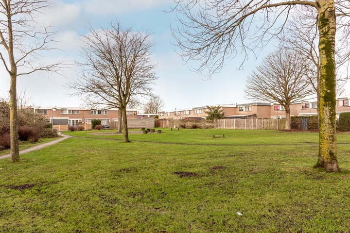 Foto 37 van Botter 19 35