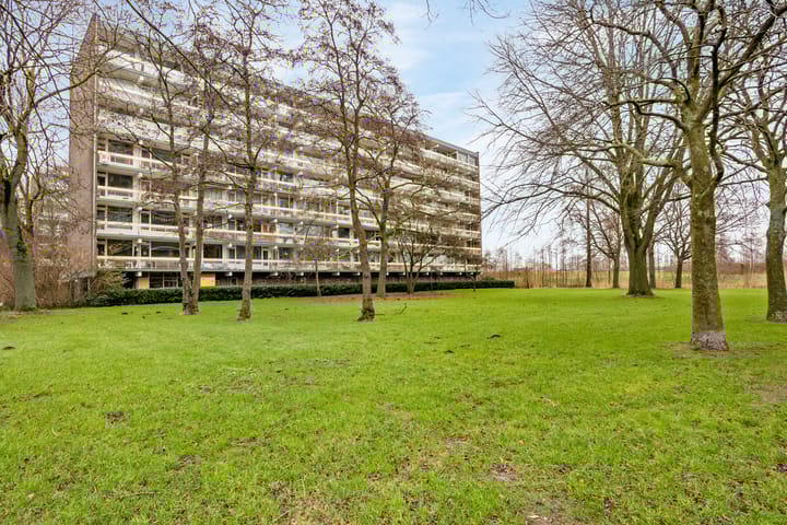 Foto 25 van Isabellaland 1130