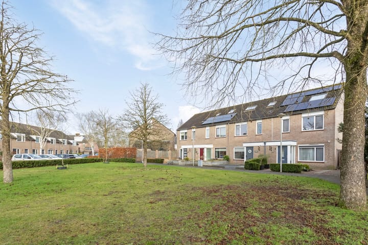 Foto 32 van Moldauplantsoen 15