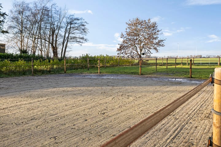 Foto 41 van Zuiderdiep 263