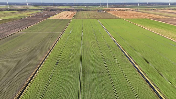 Foto 49 van Zuiderdiep 263