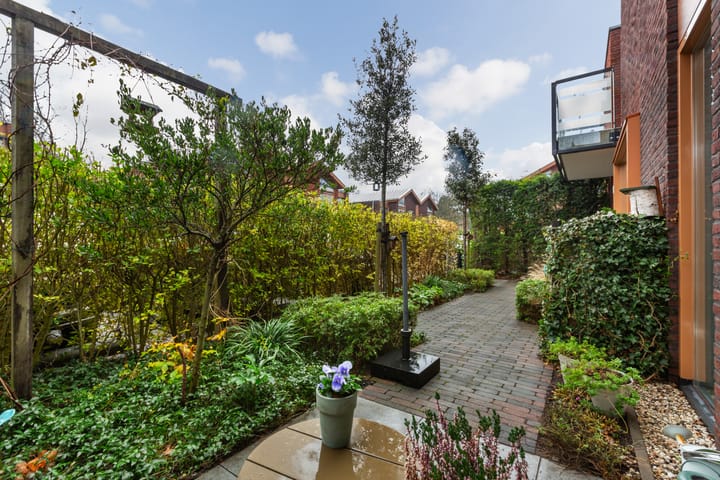 Photo 6 of Olympia 5