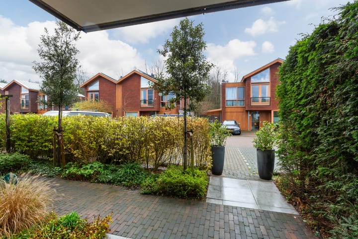 Photo 8 of Olympia 5