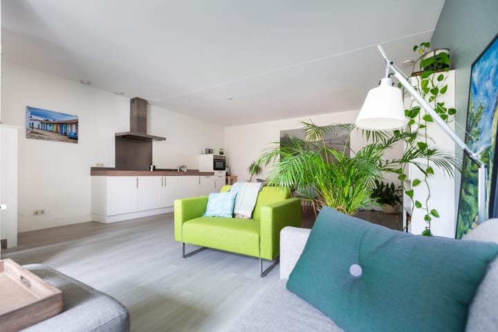 Photo 15 of Olympia 5