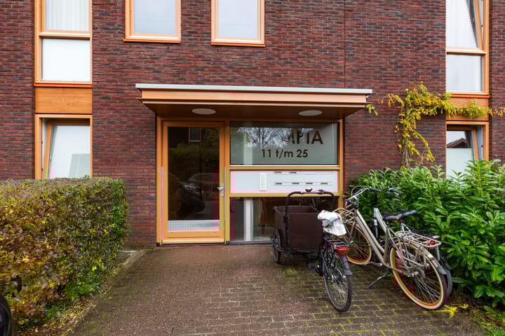 Photo 34 of Olympia 5