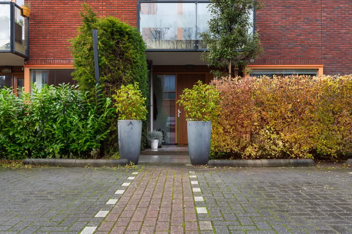 Photo 35 of Olympia 5