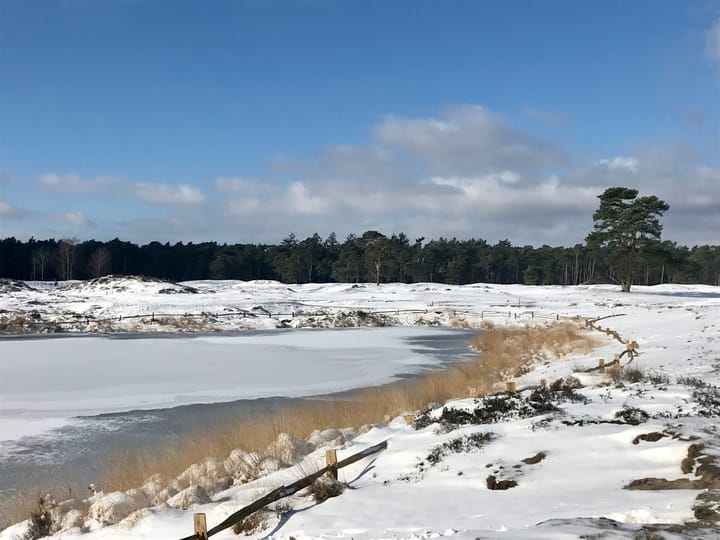 Photo 39 of Olympia 5