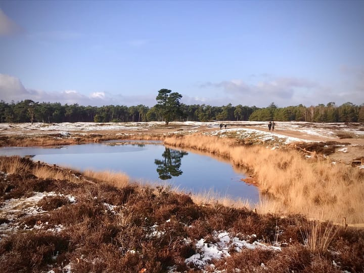 Photo 41 of Olympia 5