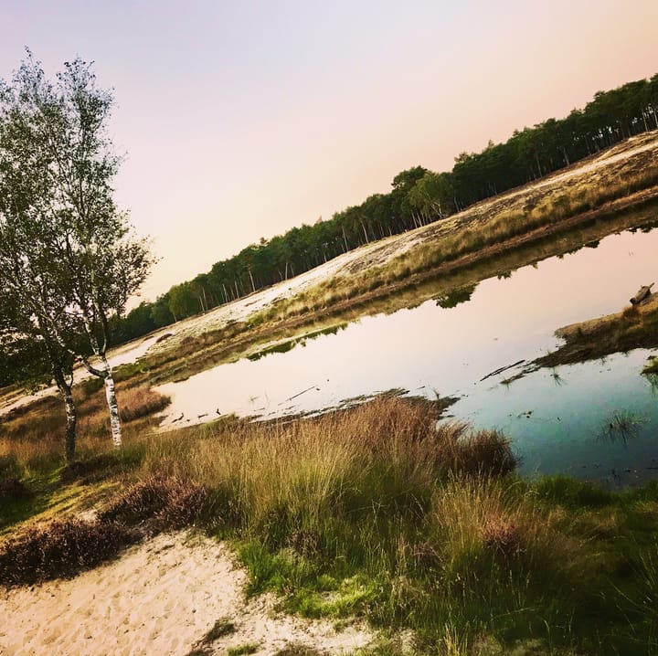 Photo 42 of Olympia 5