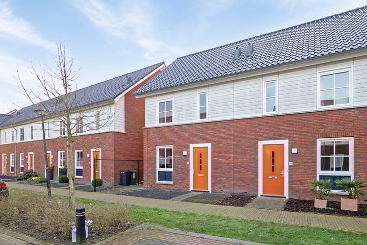 Foto 2 van Knelisroos 30