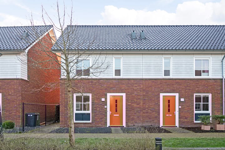 Foto 7 van Knelisroos 30